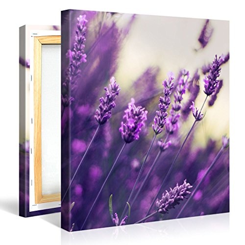 Premium Kunstdruck Wand-Bild - Purple Lavendel - 80x80cm Leinwand-Druck in deutscher Marken-Qualität - Leinwand-Bilder auf Holz-Keilrahmen als moderne Wanddekoration