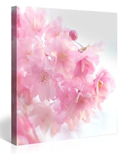 Premium Kunstdruck Wand-Bild - Pink Cherry Blossoms -...