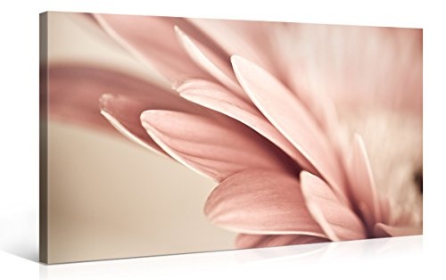 Gallery of Innovative Art - Retro Pink Petals Flower -...