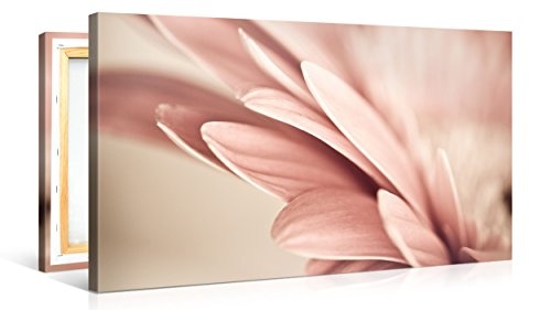 Gallery of Innovative Art - Retro Pink Petals Flower - 100x50cm Premium Kunstdruck Wand-Bild - Leinwand-Druck in deutscher Marken-Qualität - Leinwand-Bilder auf Holz-Keilrahmen als moderne Wanddekoration
