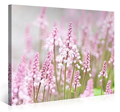 Premium Kunstdruck Wand-Bild - Field Of Pink Flowers -...