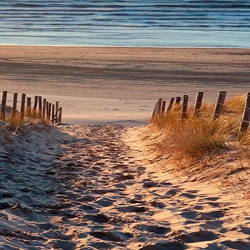 decomonkey Bilder Strand Sonnenuntergang 135x45 cm 1 Teilig Leinwandbilder Bild auf Leinwand Vlies Wandbild Kunstdruck Wanddeko Wand Wohnzimmer Wanddekoration Deko Meer Natur Landschaft
