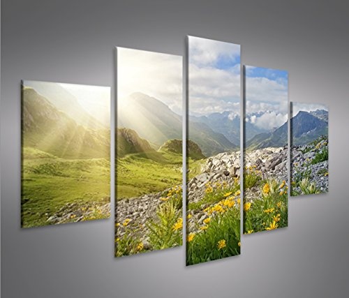 islandburner Bild Bilder auf Leinwand Bergwiese V2 Alpen Landschaft Berge Sonne MF XXL Poster Leinwandbild Wandbild Dekoartikel Wohnzimmer Marke