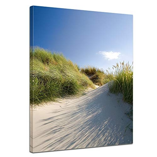 Wandbild Dünengräser - Bild auf Leinwand - 50x60 cm Leinwandbilder Urlaub, Sonne & Meer Nordsee Dünen mit Strandgräsern - Idylle - Erholung