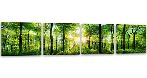 Feeby Frames, Leinwandbild, Bilder, Wand Bild - 4 Teile - Panoramabild, Wandbilder, Kunstdruck 60x240 cm, Wald, BÄUME, Sonne, Natur, GRÜN
