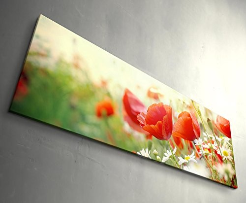 Paul Sinus Art Leinwandbilder | Bilder Leinwand 150x50cm Mohnblumen im Sonnenschein