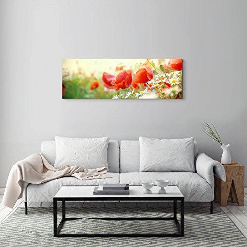 Paul Sinus Art Leinwandbilder | Bilder Leinwand 150x50cm Mohnblumen im Sonnenschein