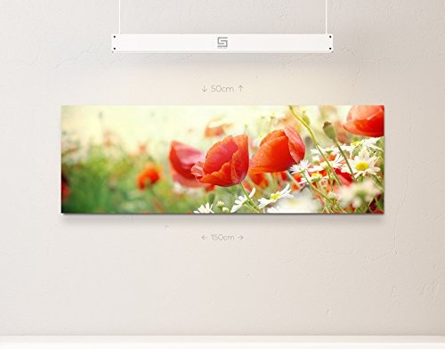 Paul Sinus Art Leinwandbilder | Bilder Leinwand 150x50cm Mohnblumen im Sonnenschein