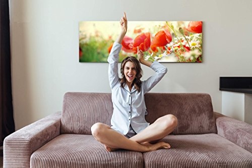 Paul Sinus Art Leinwandbilder | Bilder Leinwand 150x50cm Mohnblumen im Sonnenschein
