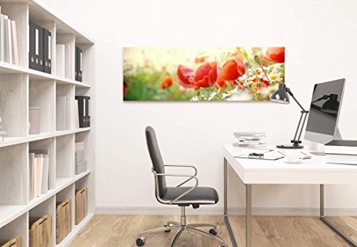 Paul Sinus Art Leinwandbilder | Bilder Leinwand 150x50cm Mohnblumen im Sonnenschein