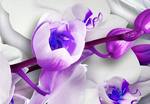 murando - Bilder 200x100 cm Vlies Leinwandbild 5 TLG Kunstdruck modern Wandbilder XXL Wanddekoration Design Wand Bild - Blumen Orchidee Diamant b-A-0238-b-p