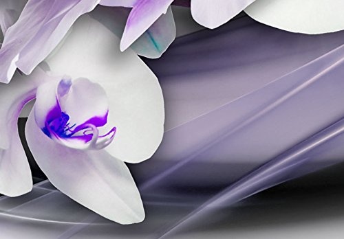 murando - Bilder 200x100 cm Vlies Leinwandbild 5 TLG Kunstdruck modern Wandbilder XXL Wanddekoration Design Wand Bild - Blumen Orchidee Diamant b-A-0238-b-p
