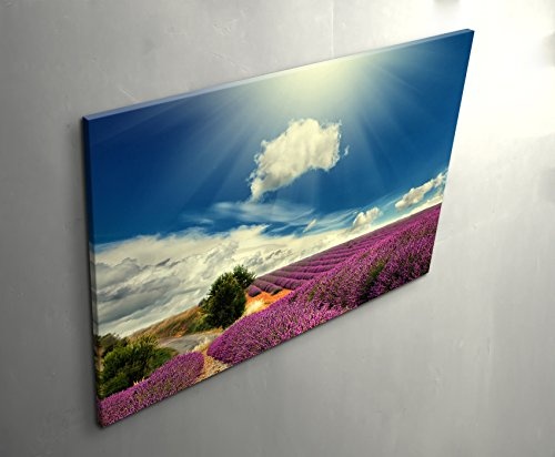 Paul Sinus Art Leinwandbilder | Bilder Leinwand 120x80cm Lavendel Felder Bei Blauem Himmel
