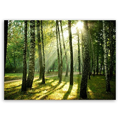 ge Bildet® hochwertiges Leinwandbild Pflanzen Bilder - Wald - Natur Blumen Wald Sonnenschein grün - 70 x 50 cm einteilig 2206 J