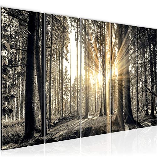 Bilder Wald Landschaft Wandbild 150 x 60 cm Vlies -...