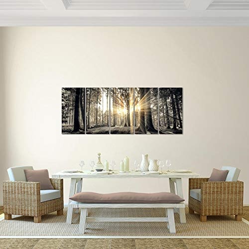 Bilder Wald Landschaft Wandbild 150 x 60 cm Vlies -...
