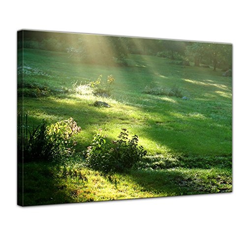Wandbild - Wiese - Bild auf Leinwand - 80 x 60 cm- Leinwandbilder - Bilder als Leinwanddruck - Landschaften - Natur - Sonnenstrahlen auf Einer grünen Wiese