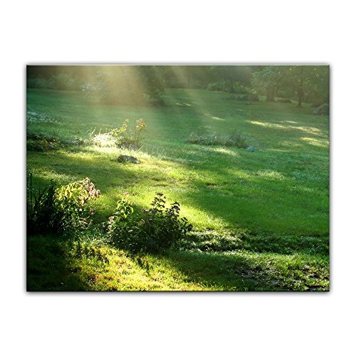 Wandbild - Wiese - Bild auf Leinwand - 80 x 60 cm- Leinwandbilder - Bilder als Leinwanddruck - Landschaften - Natur - Sonnenstrahlen auf Einer grünen Wiese