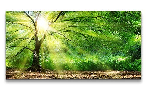Paul Sinus Art Baum mit Sonnenstrahlen im Winter 120x 60cm Panorama Leinwand Bild XXL Format Wandbilder Wohnzimmer Wohnung Deko Kunstdrucke