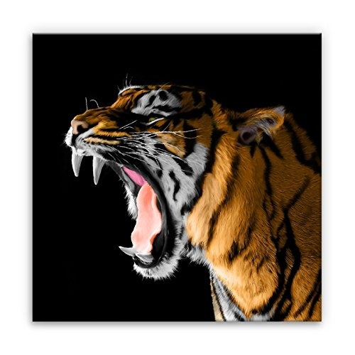 Kunstbruder Tiger - Color (Div. Grössen) - Kunstdruck auf Leinwand 80x80cm