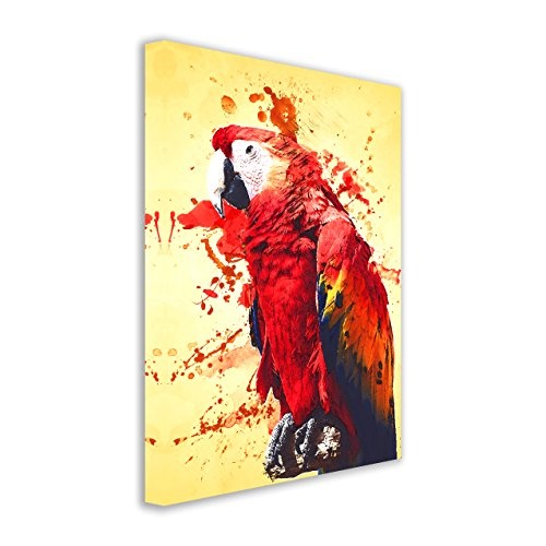 Kunstbruder Papagei Color Rot (Div. Größen) - Kunst Druck auf Leinwand 40x60cm