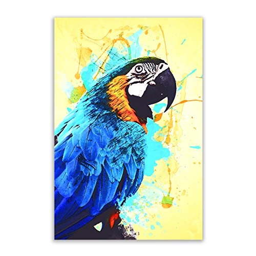 Kunstbruder Papagei Color Blau (Div. Größen) - Kunst Druck auf Leinwand 40x60cm