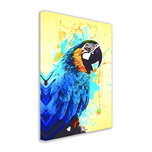 Kunstbruder Papagei Color Blau (Div. Größen) - Kunst Druck auf Leinwand 40x60cm