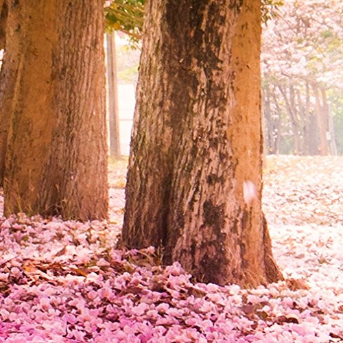 decomonkey Bilder Blumen Landschaft 150x50 cm XXL 1 Teilig Leinwandbilder Bild auf Leinwand Wandbild Kunstdruck Wanddeko Wand Wohnzimmer Wanddekoration Deko Natur Wald Alee