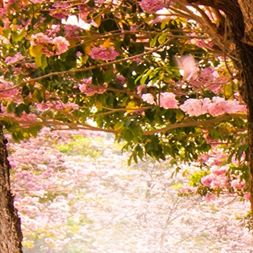 decomonkey Bilder Blumen Landschaft 150x50 cm XXL 1 Teilig Leinwandbilder Bild auf Leinwand Wandbild Kunstdruck Wanddeko Wand Wohnzimmer Wanddekoration Deko Natur Wald Alee