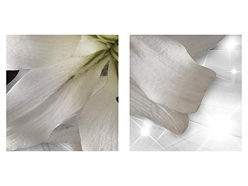 Bilder Blumen Lilie Wandbild 150 x 75 cm Vlies - Leinwand Bild XXL Format Wandbilder Wohnzimmer Wohnung Deko Kunstdrucke Grau 5 Teilig - MADE IN GERMANY - Fertig zum Aufhängen 021753c
