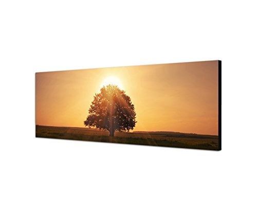 XXL Wandbild 150x50cm Wiese Baum Dämmerung Sonnenuntergang