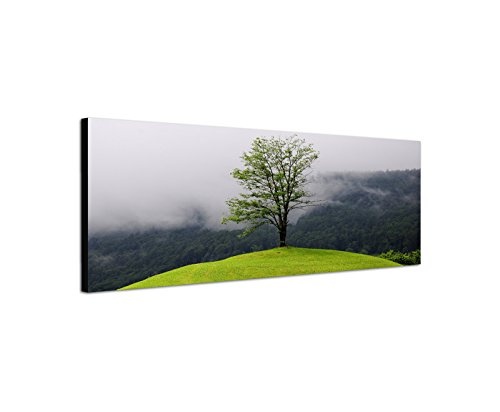 Wandbild auf Leinwand als Panorama in 150x50cm Wald See Nebel Insel Baum Spiegelung