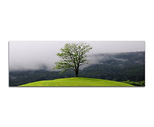 Wandbild auf Leinwand als Panorama in 150x50cm Wald See Nebel Insel Baum Spiegelung