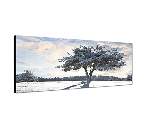 Wandbild auf Leinwand als Panorama in 150x50cm Baum Schatten Schnee Winter Wolkenschleier