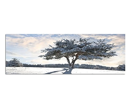 Wandbild auf Leinwand als Panorama in 150x50cm Baum Schatten Schnee Winter Wolkenschleier
