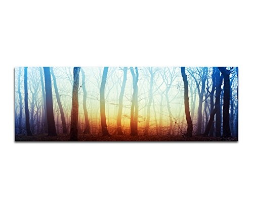 Wandbild auf Leinwand als Panorama in 150x50cm Wald Bäume Licht mystisch