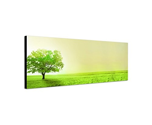 Wandbild auf Leinwand als Panorama in 150x50cm Feld Wiese Baum Sonnenlicht