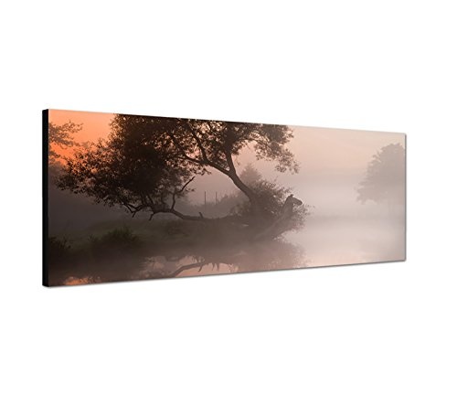 Wandbild auf Leinwand als Panorama in 150x50cm Fluss Baum Nebel Morgendämmerung