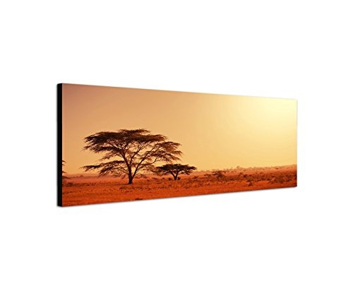 Wandbild auf Leinwand als Panorama in 150x50cm Afrika Namibia Baum Abendstimmung