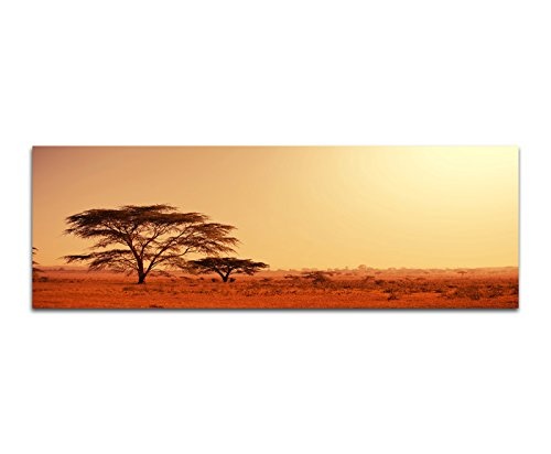 Wandbild auf Leinwand als Panorama in 150x50cm Afrika Namibia Baum Abendstimmung