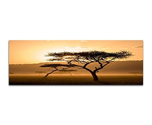 Wandbild auf Leinwand als Panorama in 150x50cm Kenia Wiese Bäume Dunst Sonnenuntergang