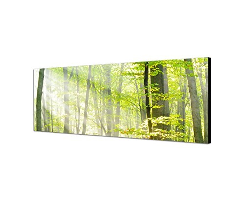 Wandbild auf Leinwand als Panorama in 150x50cm Bäume Wald Sonnenstrahlen Herbst