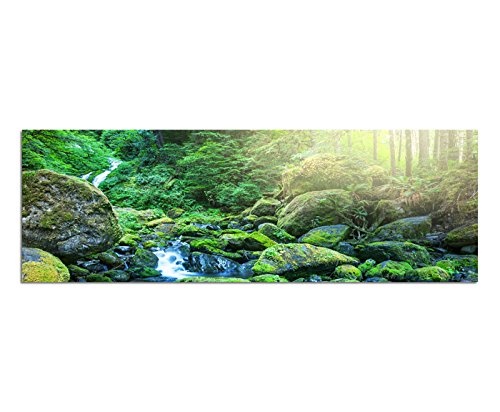 Wandbild auf Leinwand als Panorama in 150x50cm Wald Bäume Bach Steine Sonnenstrahlen