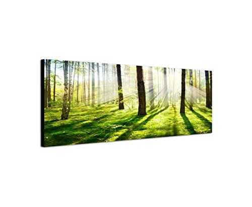 Wandbild auf Leinwand als Panorama in 150x50cm Wald Bäume Frühling Sonnenstrahlen