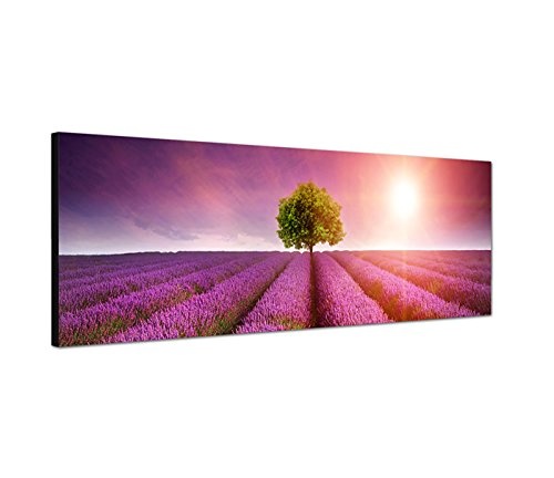 Wandbild auf Leinwand als Panorama in 150x50cm Lavendelfeld Baum Sommer Sonnenuntergang