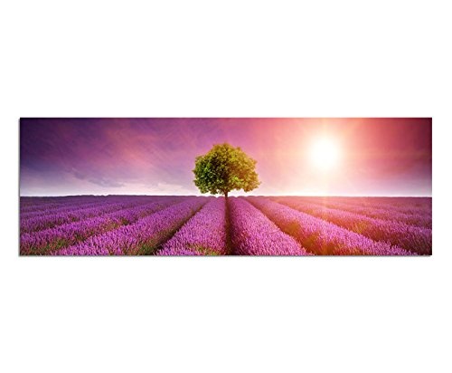 Wandbild auf Leinwand als Panorama in 150x50cm Lavendelfeld Baum Sommer Sonnenuntergang