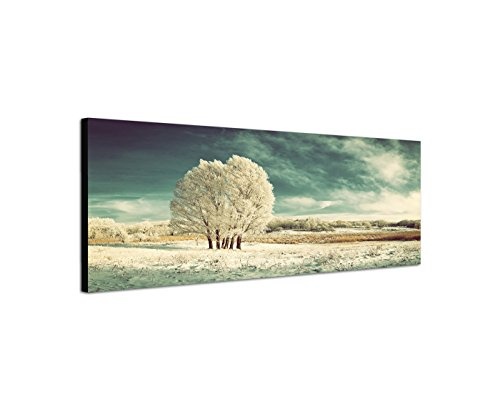 Wandbild auf Leinwand als Panorama in 150x50cm Winterlandschaft Wiese Baum Schnee Wolken