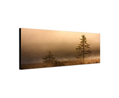 Wandbild auf Leinwand als Panorama in 150x50cm See Wiese Baum Nebel Dunst Morgengrauen