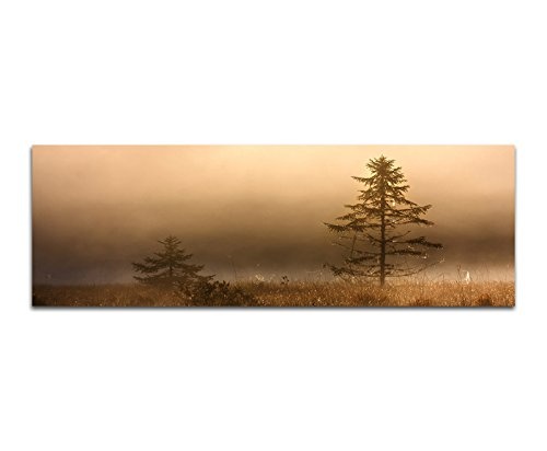 Wandbild auf Leinwand als Panorama in 150x50cm See Wiese Baum Nebel Dunst Morgengrauen