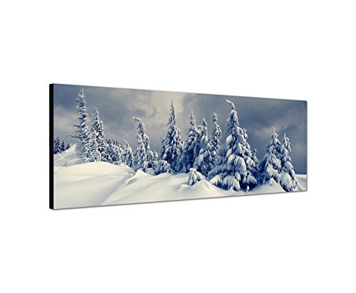 Wandbild auf Leinwand als Panorama in 150x50cm Winterlandschaft Bäume Schnee Wolken